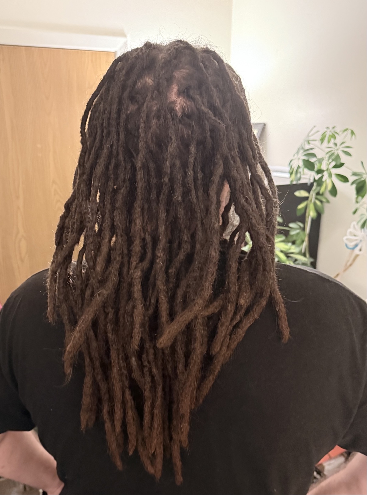 Back view of long, full dark locs